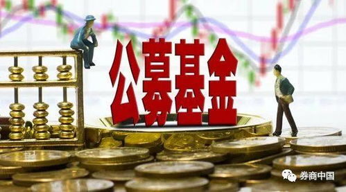 個人系公募基金冰火兩重天 發(fā)起人參控多家機(jī)構(gòu)，新公司審批遇阻